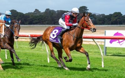 Pingers Lighting up the Track!