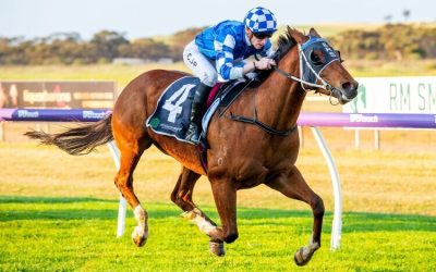 Northam Chances